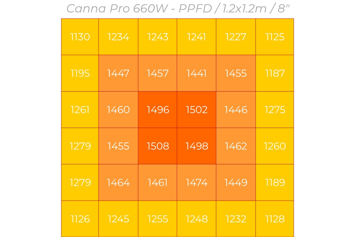 CANNA PRO660 - 2