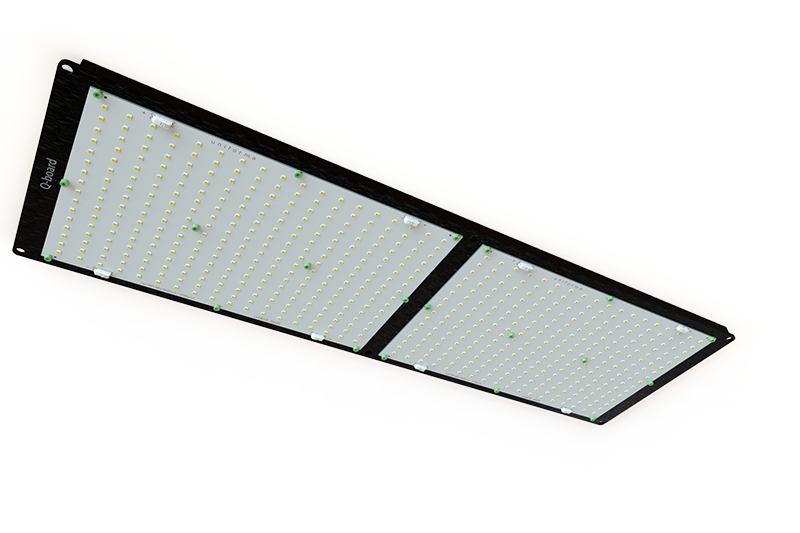 Q Board240