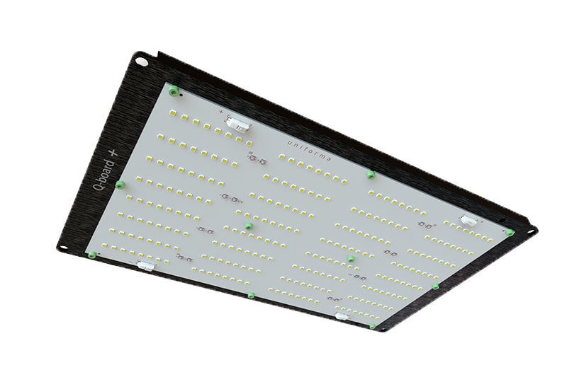 Q Board150 Plus