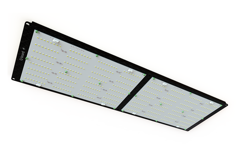 Q Board240 Plus
